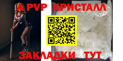 стаф Славгород